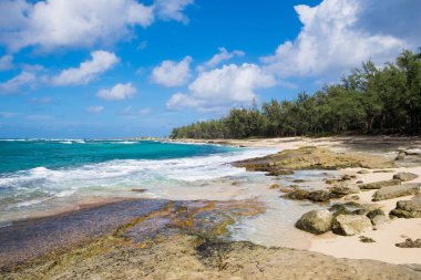 Kaplumbağa Bay Pacific Ocean Beach
