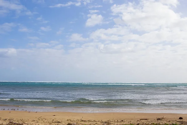 Oahu Havaí Barlavento lado praia — Fotografia de Stock