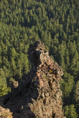 Iron Mountain zammı Oregon