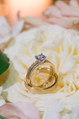 Çiçeklerdeki alyanslar