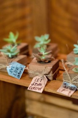 Düğün resepsiyonunda succulents