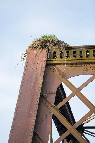 Eagle Nest on Bridge in Oregon — Stock Photo, Image