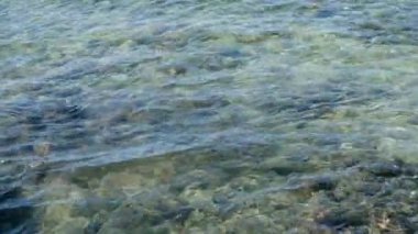 Okyanus gelgit suda balık Okulu Yüzme