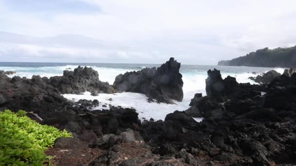 Large Waves Crashing on Big Island Hawaii — Stock Video