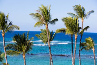 Mauna Lani Bay Big Island Hawaii