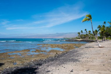Mauna Lani Bay Big Island Hawaii