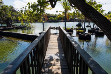 Mauna Lani Bay Big Island Hawaii