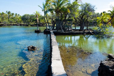 Mauna Lani Bay Big Island Hawaii