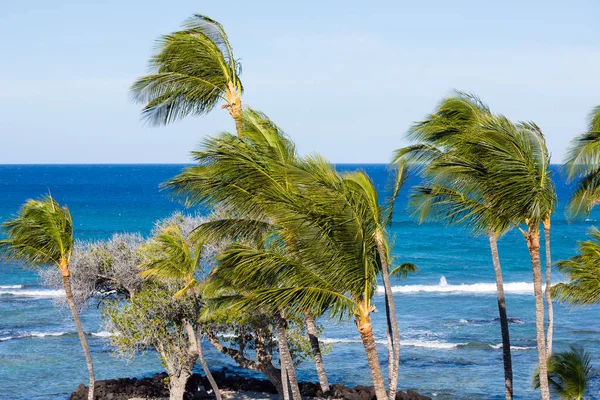 Big Island na Hawajach Mauna Lani Bay — Zdjęcie stockowe