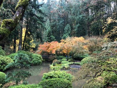 Japon bahçe Portland Oregon