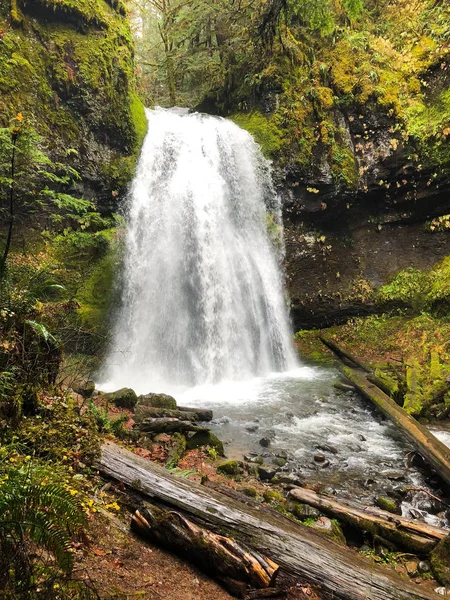 Espírito cai Unpqua floresta nacional Oregon — Fotografia de Stock