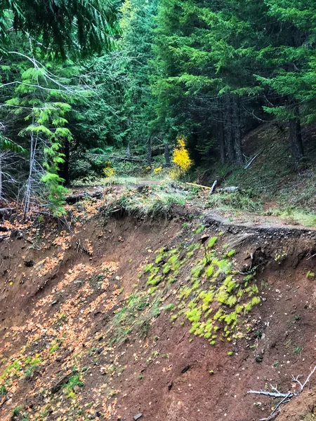 Дорога закрыта из-за оползня в Орегоне — стоковое фото