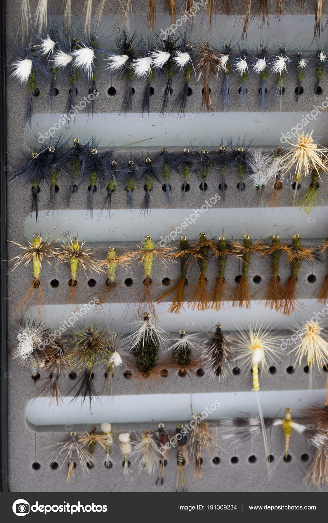 dry fly box