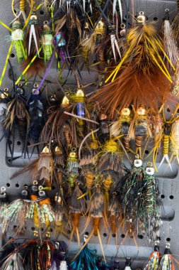 Islak sinek perisi sinekler