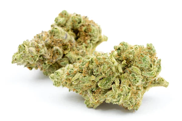 Marihuana isoliert weißen Hintergrund — Stockfoto