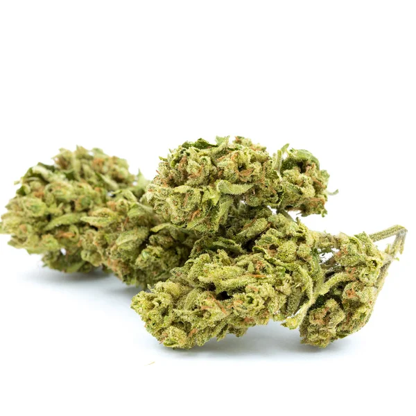 Marihuana aislado fondo blanco — Foto de Stock