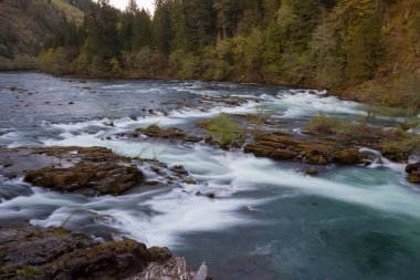 Kuzey Umpqua nehir Oregon