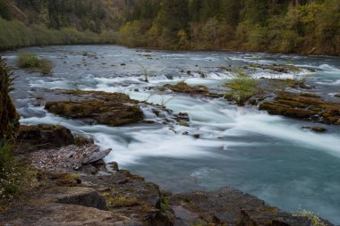 Kuzey Umpqua nehir Oregon
