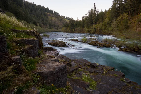 River Umpqua severní Oregon — Stock fotografie