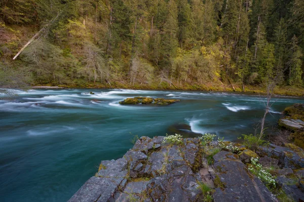 Kuzey Umpqua nehir Oregon — Stok fotoğraf