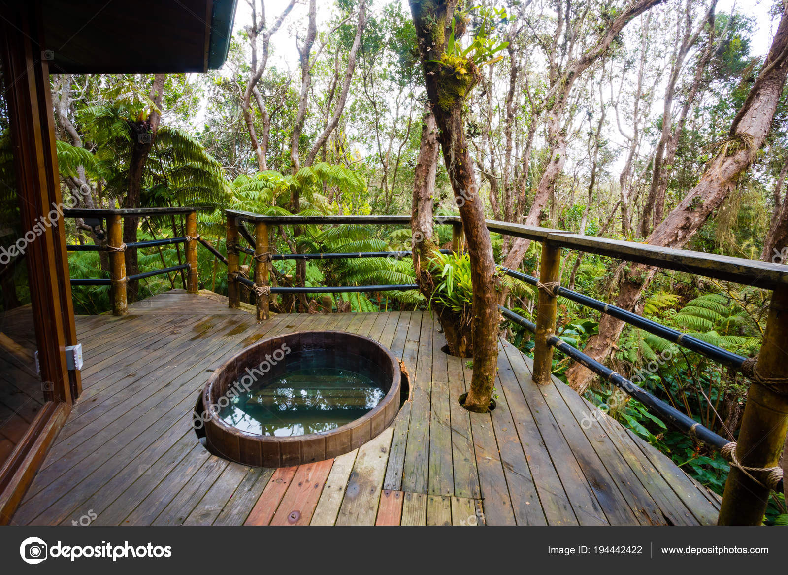 Hawaii Rainforest Treehouse Detail Stock Photo by ©joshuarainey 194442422