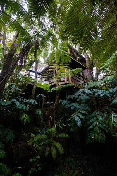 Hawaii regenwoud Treehouse Detail — Stockfoto