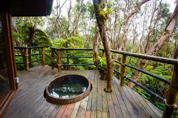 Hawaii Rainforest Treehouse detay — Stok fotoğraf