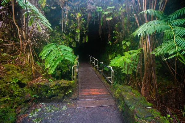 Hawaii vulcões National Park Thurston Lava Tube — Fotografia de Stock