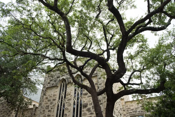 Iglesia Histórica en San Antonio Texas — Foto de Stock