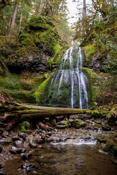 Spirit Falls Umpqua National Forest in Oregon
