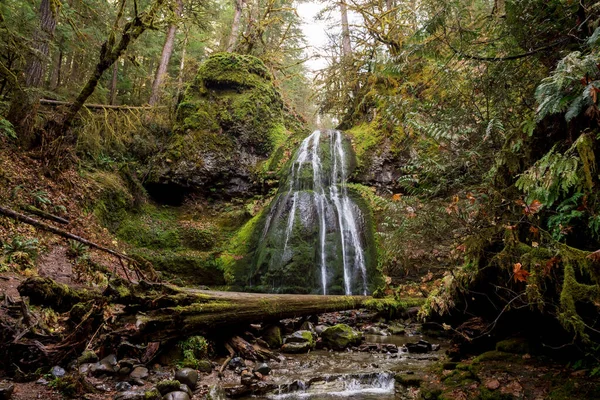 Spirit Falls Umpqua National Forest in Oregon — Stockfoto