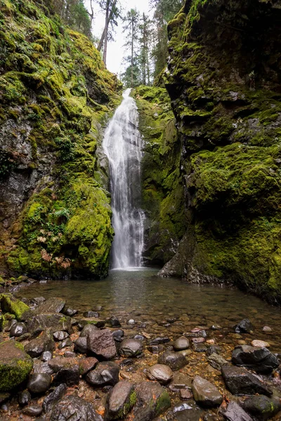 Forêt nationale de Pinard Falls Umpqua en Oregon — Photo