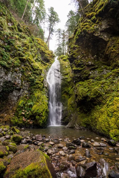 Pinard Falls Umpqua National Forest no Oregon — Fotografia de Stock