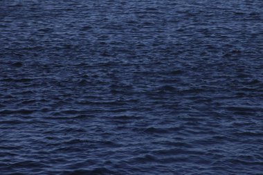 Mavi suda dalgalanma dokusu