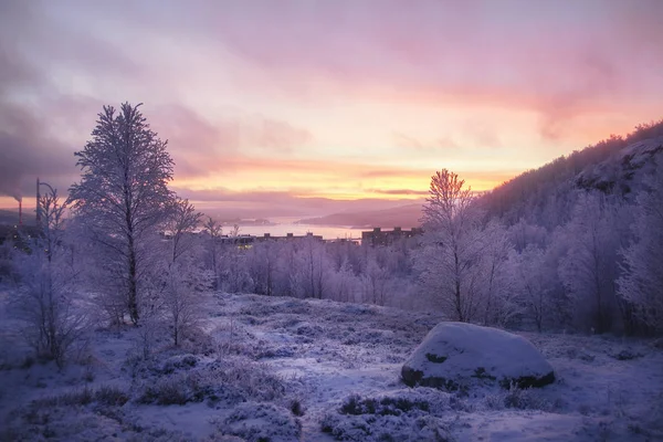 Puesta de sol amarillo-rosa sobre la montaña cubierta de nieve —  Fotos de Stock