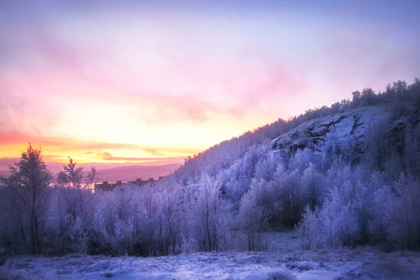 Karla kaplı bir dağ, orman ve Körfez üzerinde günbatımı