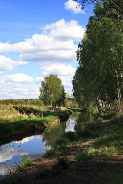 Bahar Nehri ve ağaçlar