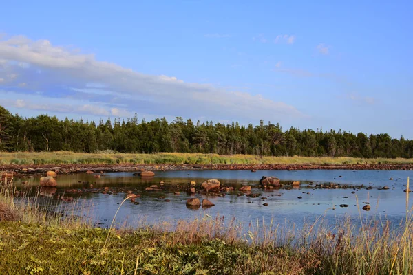 Beluga Körfezi, Beyaz Deniz