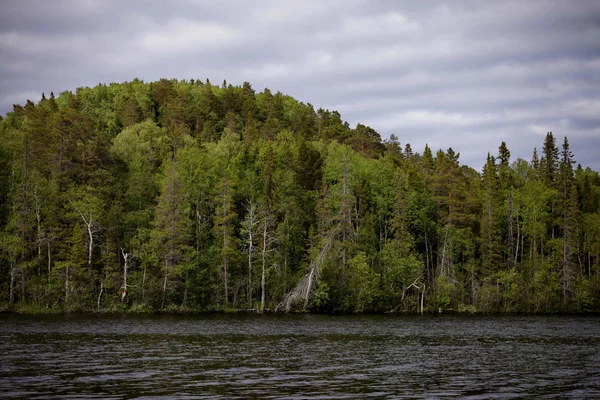 Bosque en las laderas de las montañas Volch 'ya y el lago —  Fotos de Stock