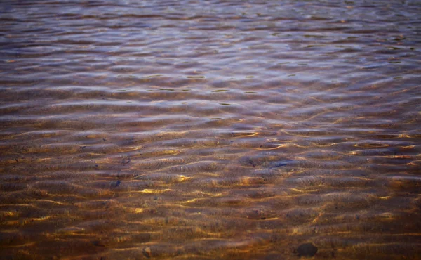 Golden light on water — Stock Photo, Image