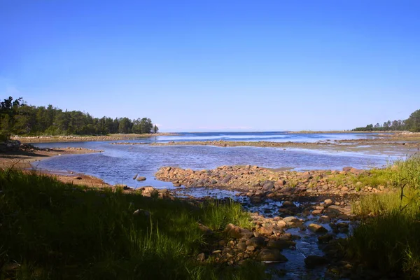 Sea bay surrounded by forests and beaches — Stock Photo, Image