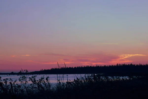 Bitkiler, gün batımı ve deniz siluetleri