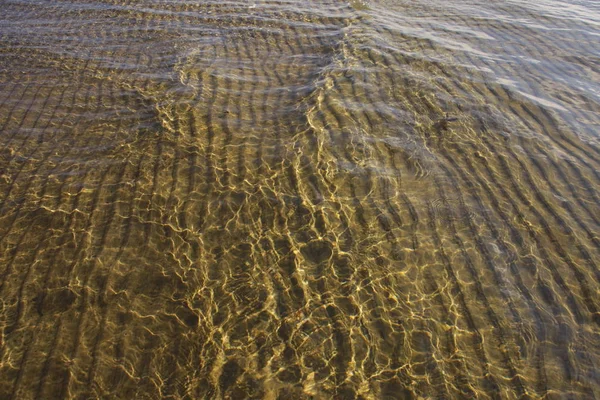 Altın güneş dalgalanmalar