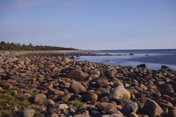 A fehér-tenger strandjaitól kő — Stock Fotó