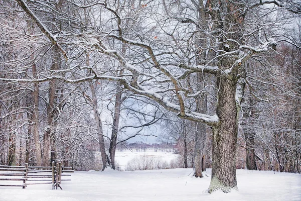 Blick auf das schneebedeckte Feld, durch ein von Bäumen geformtes Gestell, im Vordergrund ein alter Holzzaun — Stockfoto