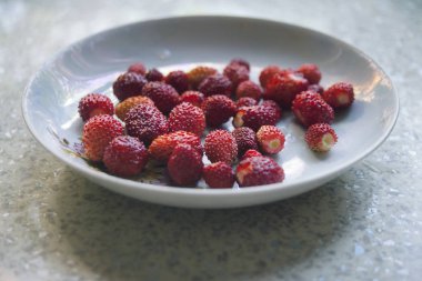 Çilek bir masaya bir tabak içinde yakın çekim