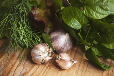 Sarımsak, marul, dereotu ve filiz tatlı biber, bir gemide, yakın çekim