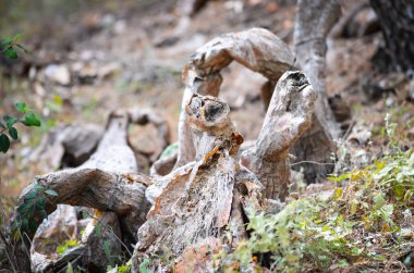 İspanyol şehirlerinin tarihi sokaklarında soyut duvar tasarımı