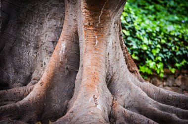 İspanyol şehirlerinin tarihi sokaklarında soyut duvar tasarımı