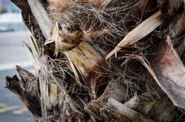 İspanyol şehirlerinin tarihi sokaklarında soyut duvar tasarımı